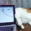 ciniser