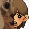 Shark_cat