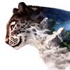 Snowleopard55
