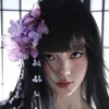 Aurora_Ray