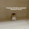 Dutyofraepta