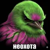 Саня Орехов