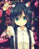 Ane4kaMeow