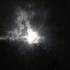 uginy_2001