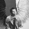 Wayward Cas