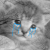 Ms. Undertale
