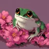 Folnot_Crol