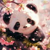 Nata_Panda