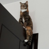 АЛЮМИНА КОТОРАЯ ЛЮБИТ ЗБ