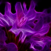 Dark-Fire Original