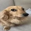 SSS_Y