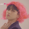 Senpai Chan