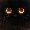 Кот-обоснуй