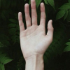 Ssanseo
