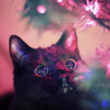 Elina_Mew