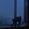 Cookie_99