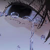 Felin_Goot