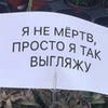 Интелект_тапочка