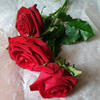 Reva_88002223535