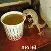 Суету навести охота... АХАХВ