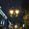 яощникЮрка