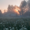 Тепло и туманно