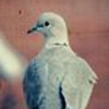 Jay_999