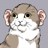 Mr. Ratto