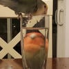 слоули мастурхейт