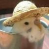 олрэй