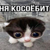 ТрюфельВЦикле