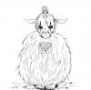 Cavalierre de Callzes