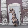 Ариша-какиша