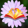 books_translation