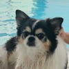 Mishelle Hwang