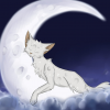 MrWarriorCat