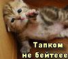 Tsameu