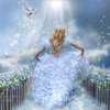 Mary-Fly