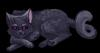 Katze_Schwatz