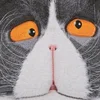 Кошь за ноутбуком