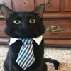 Пельменьщик