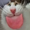 Ника Кофе