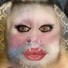 hansen__0