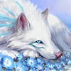 Shinokage_Shiro