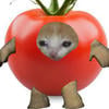 TomatoToma009