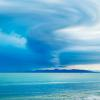 spring_twister