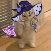 AnnyLukky