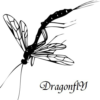 Black_dragonflY