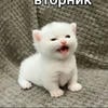 M1uklisaaa