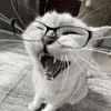 iwwuymeow